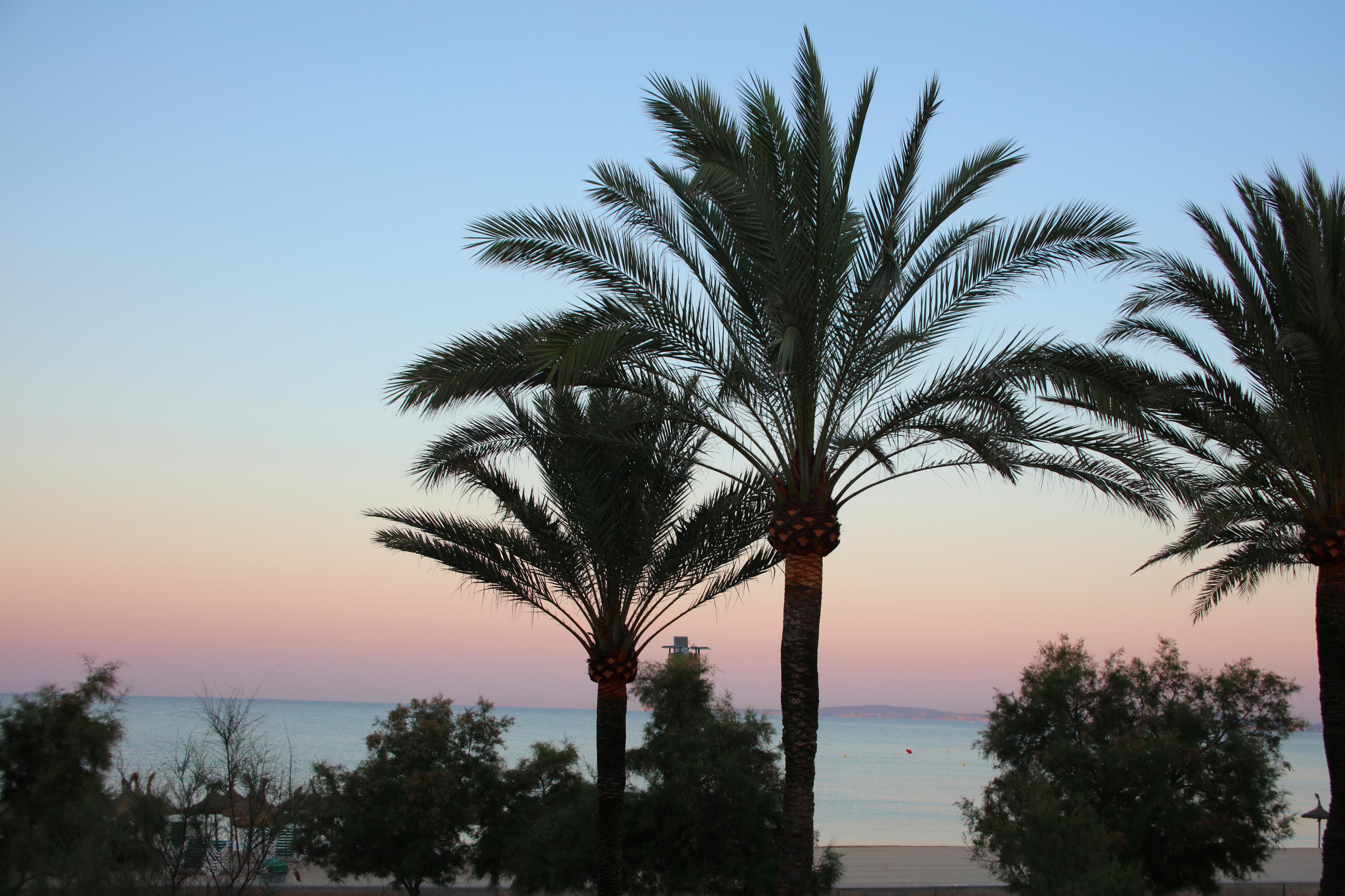 Iberostar Waves Bahia De Palma - Adults Only Hotel Playa de Palma  Exterior photo